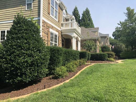 Overgrown hedge and lawn before service