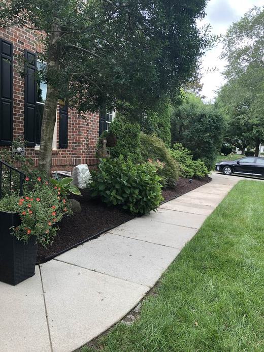 Clean edged walkway bed after service