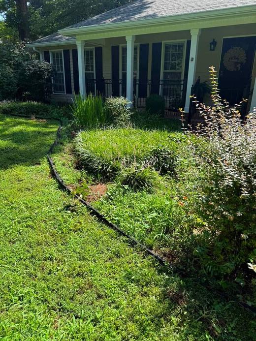 Overgrown weedy landscape bed before service