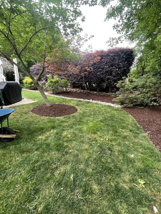 Finished lawn and landscaping