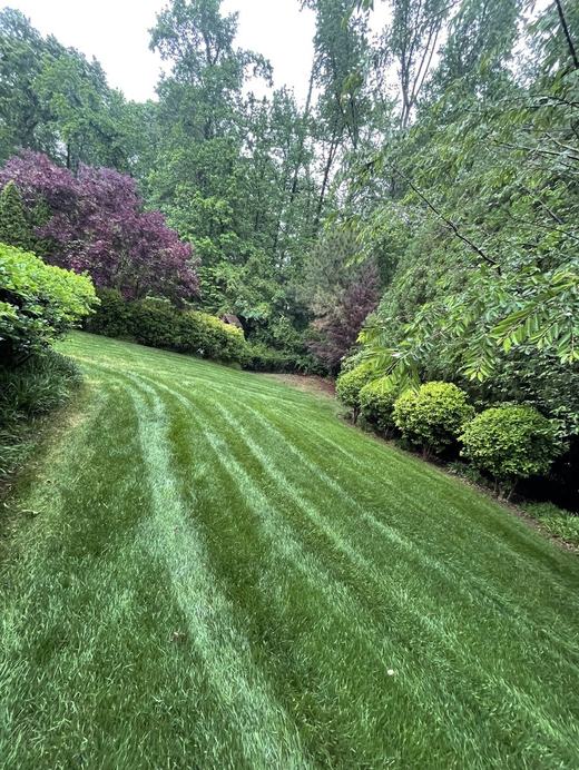 Lawn Mowing