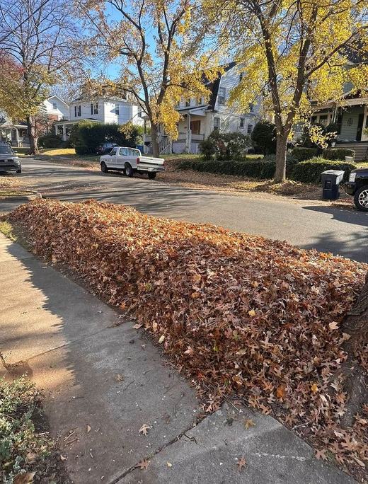 Leaf Removal recent job