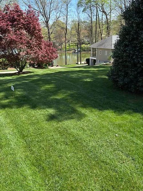 Lawn Mowing recent job