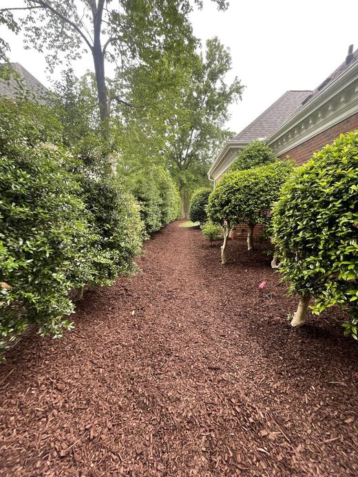 Mulch Installation