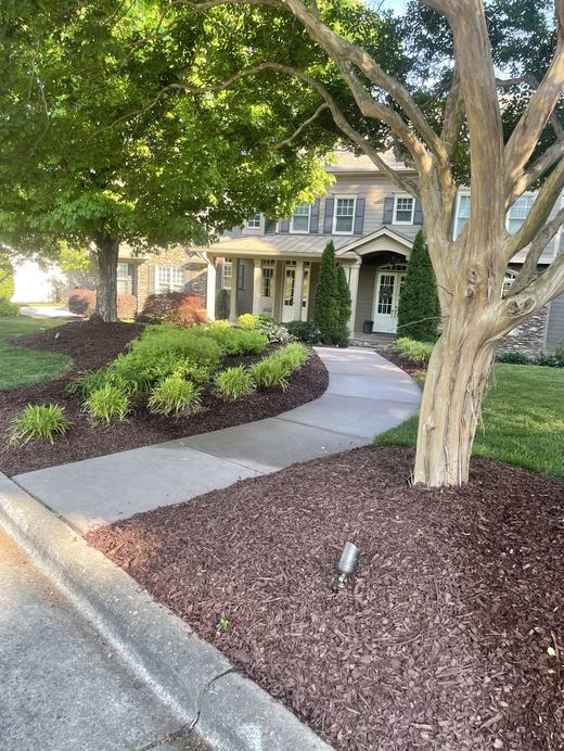 Freshly mulched front walkway