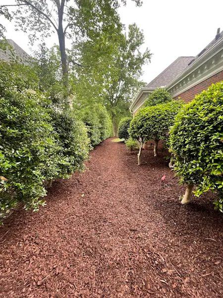 Mulch Installation recent job