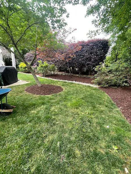 Tree Ring Mulching