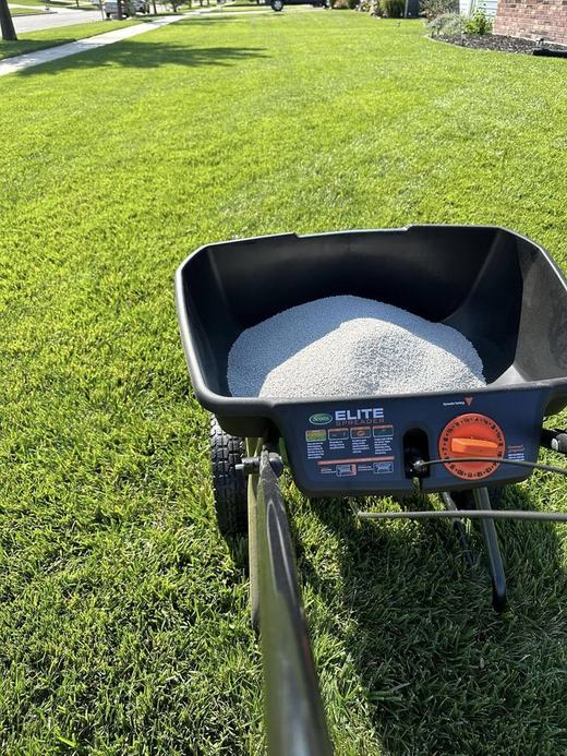 Overseeding