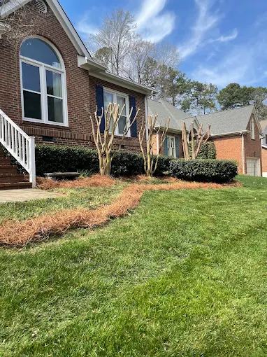 Pine Straw recent job