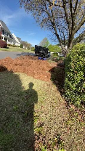 Pine Straw recent job