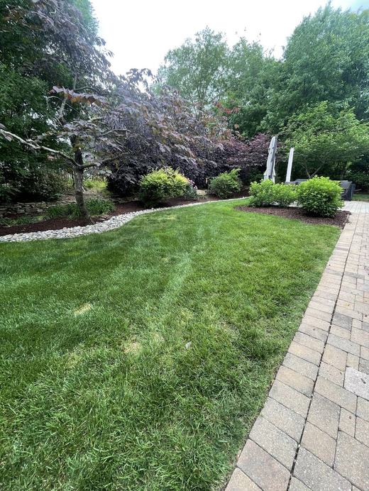 Backyard lawn with paver walkway and mulched beds