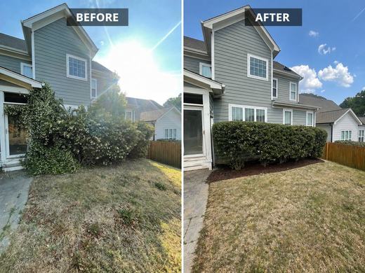 Before and after hedge trimming