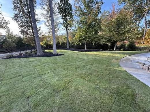 Sod Installation recent job