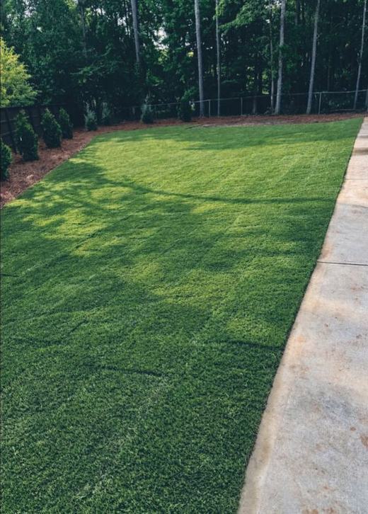 Sod Installation recent job