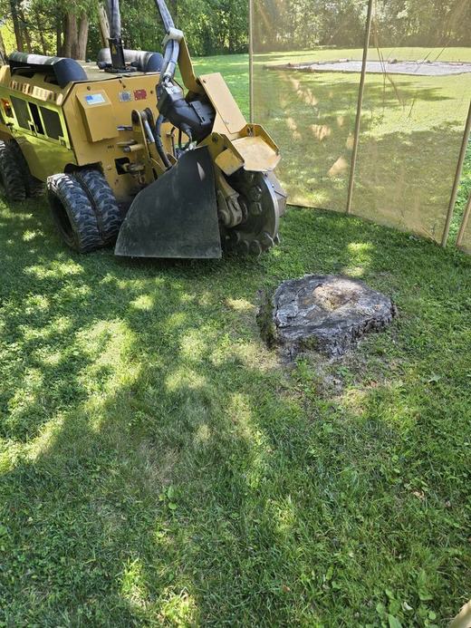 Stump Grinding