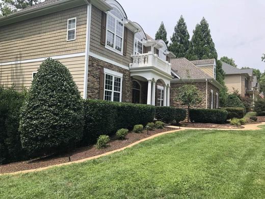 Hedge Trim & Lawn Cleanup after