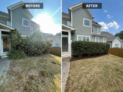 Hedge Trimming