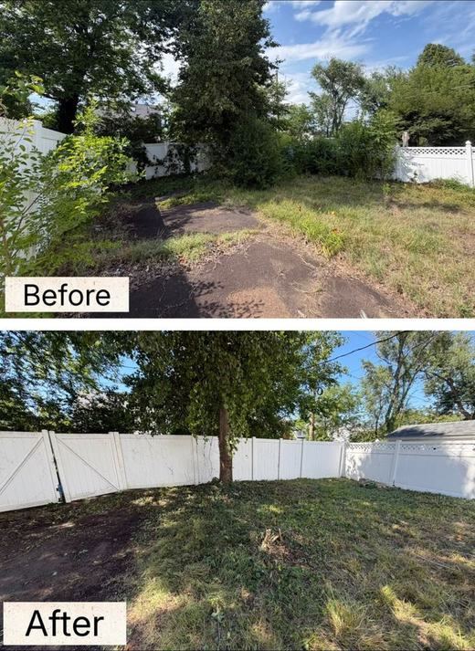 Yard Cleanup