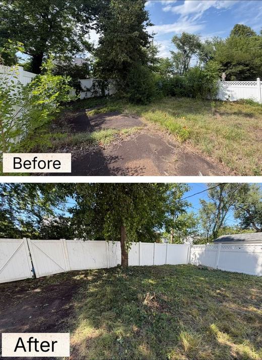 Yard Clean Up